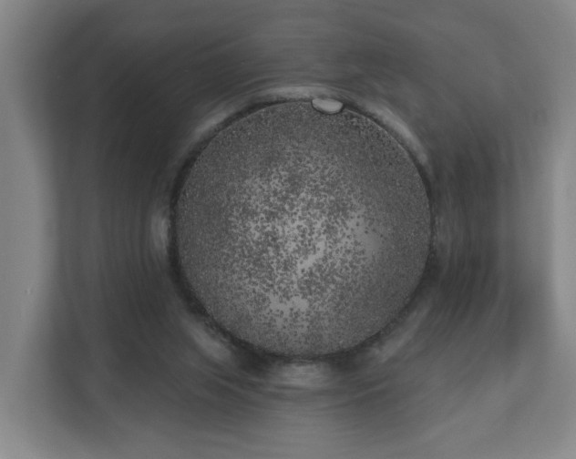 X0000110940063200906191239