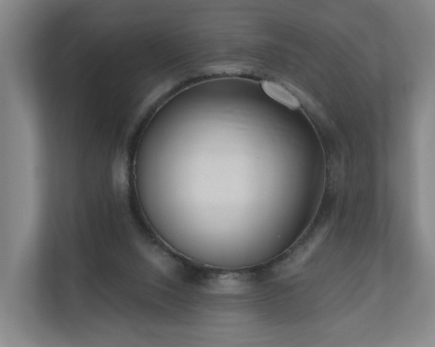 X0000110940064200906191239