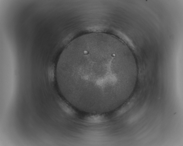 X0000110940065200906191239