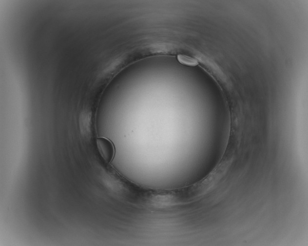 X0000110940066200906191239