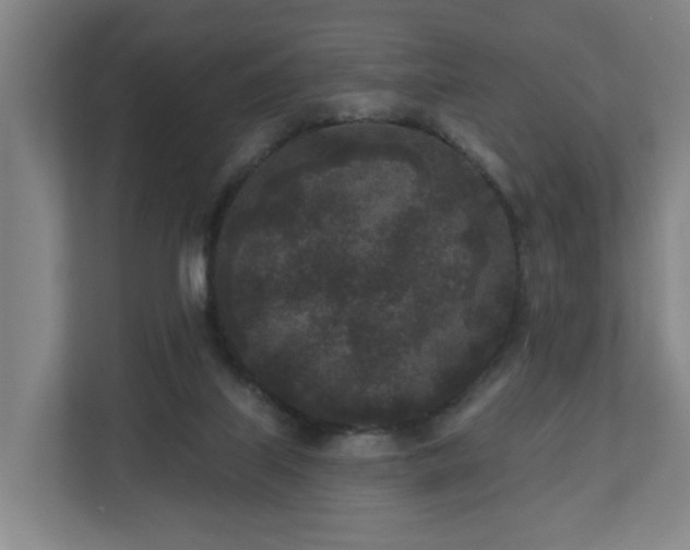 X0000110940067200906191239