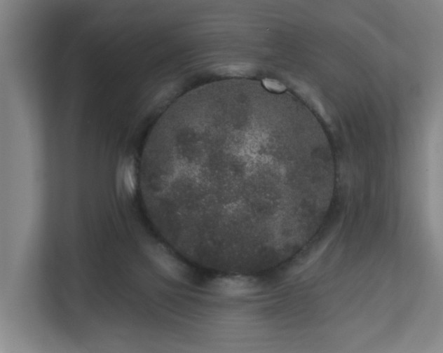 X0000110940069200906191239