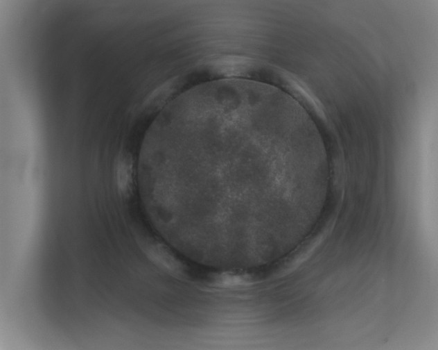 X0000110940073200906191239