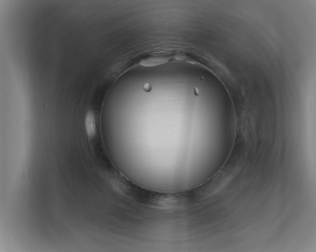 X0000110940075200906191239