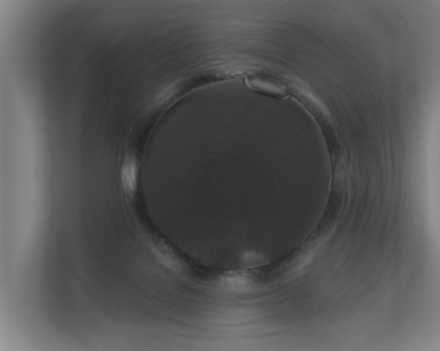 X0000110940076200906191239