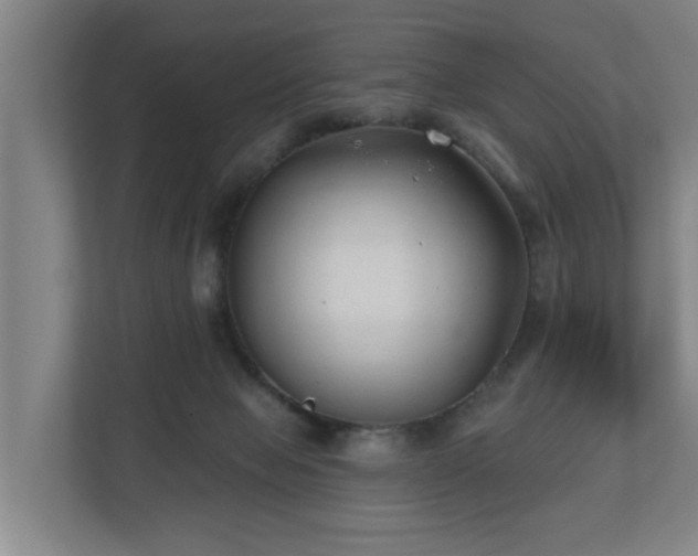 X0000110940077200906191239