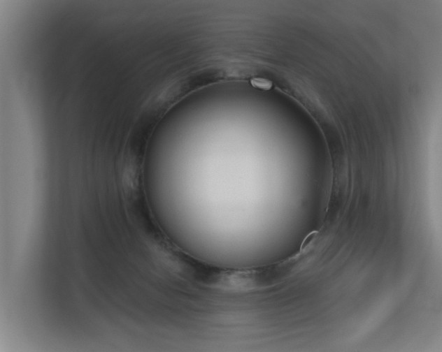 X0000110940078200906191239