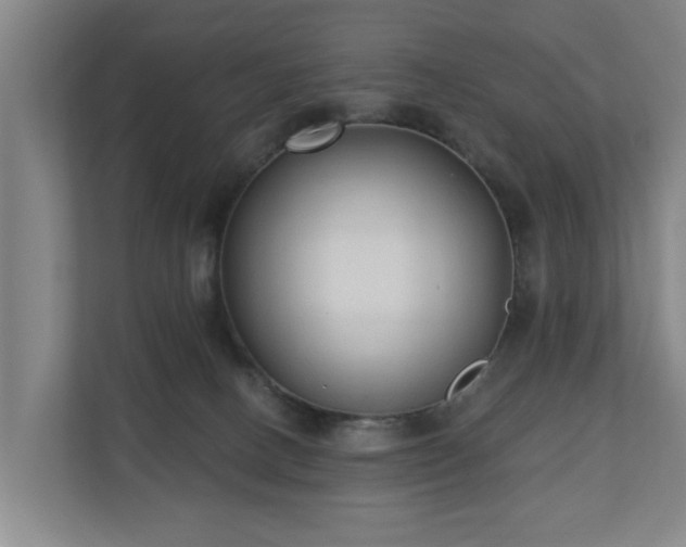 X0000110940082200906191239