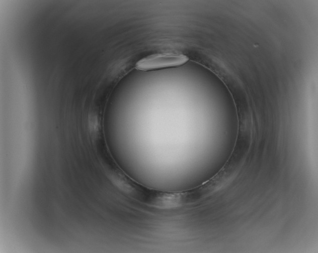 X0000110940084200906191239