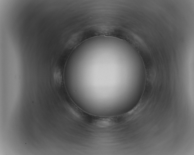 X0000110940086200906191239