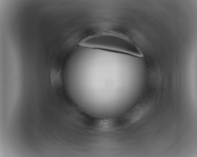 X0000110940088200906191239