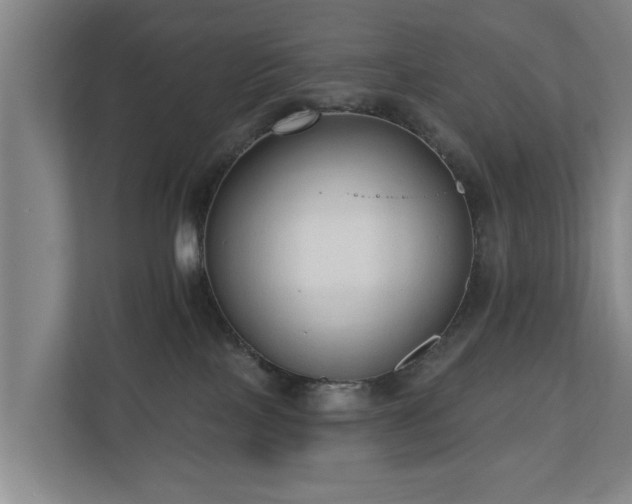 X0000110940089200906191239