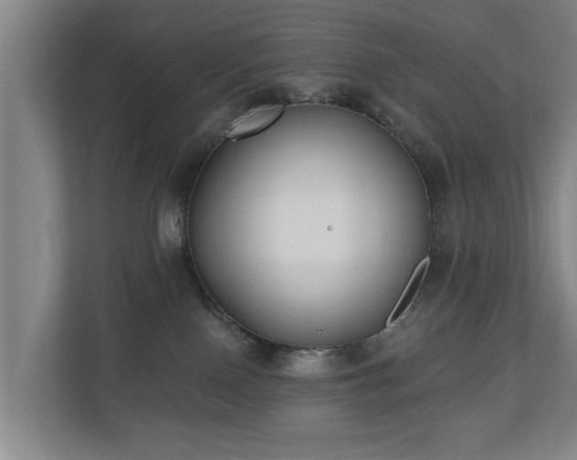 X0000110940090200906191239