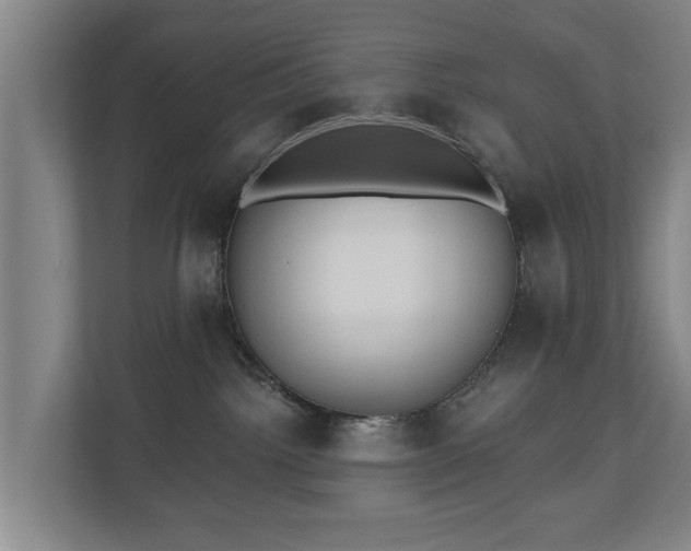 X0000110940092200906191239