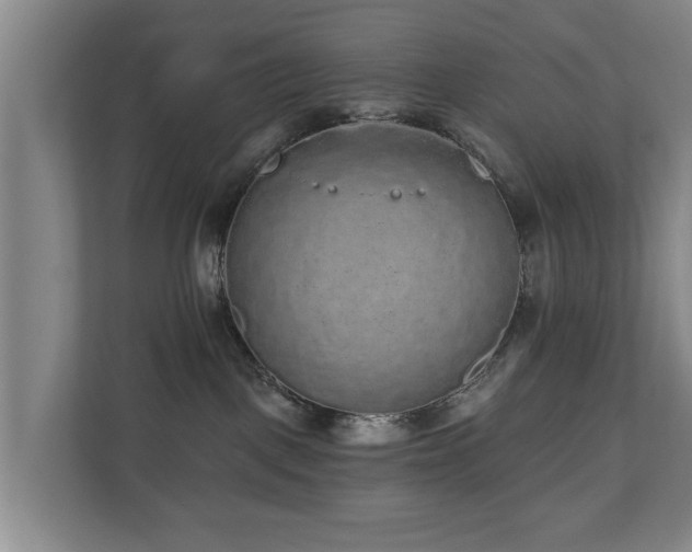 X0000110940093200906191239