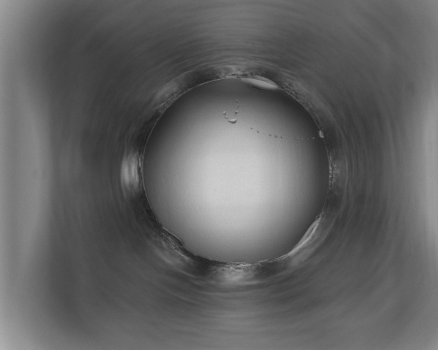 X0000110940094200906191239