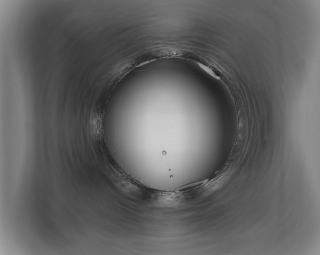 X0000110940096200906191239