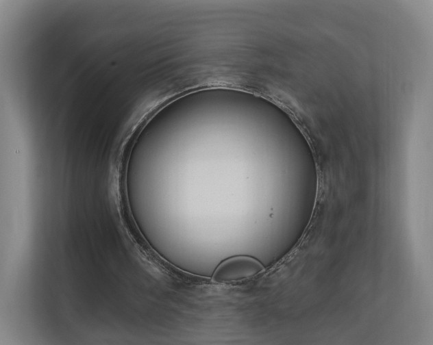 X0000110940098200906191238