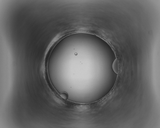 X0000110940102200906191238