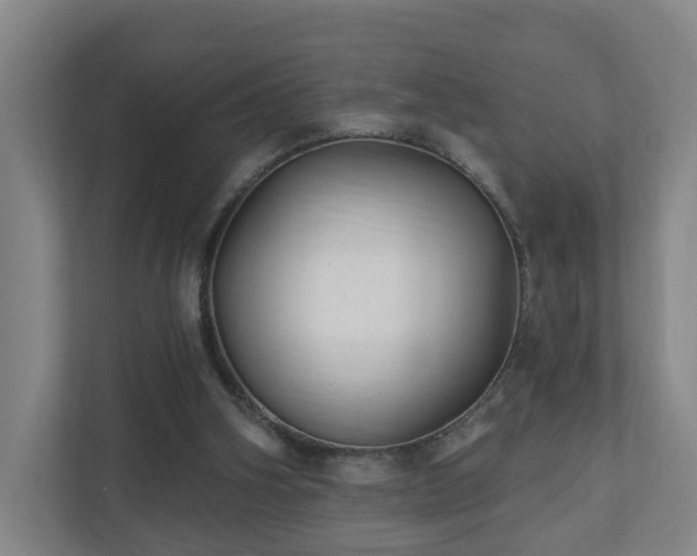 X0000110940106200906191238