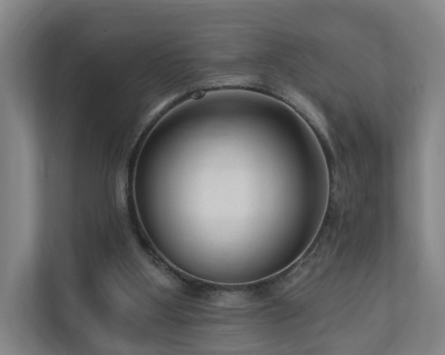 X0000110940107200906191238