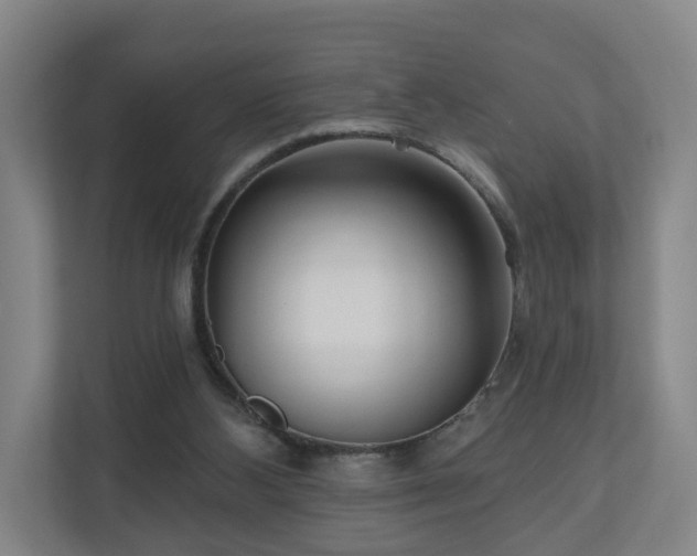 X0000110940108200906191238