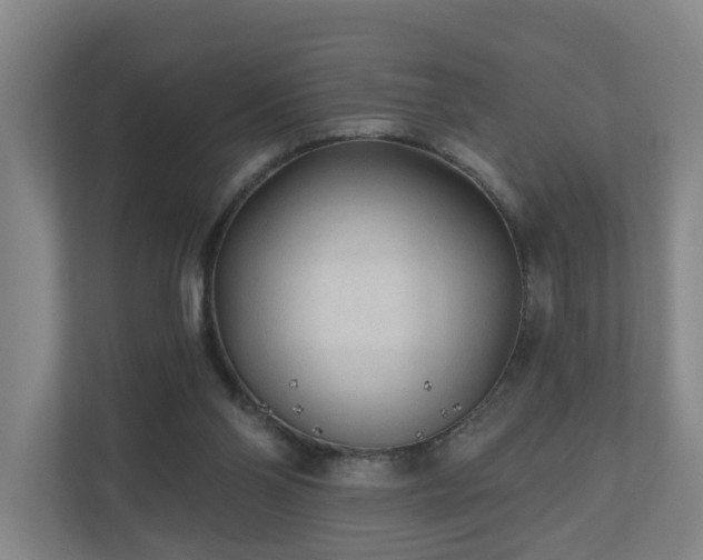 X0000110940110200906191238