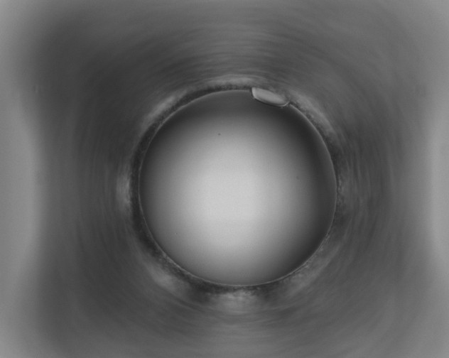 X0000110940112200906191238