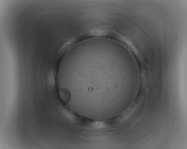 X0000110940114200906191238