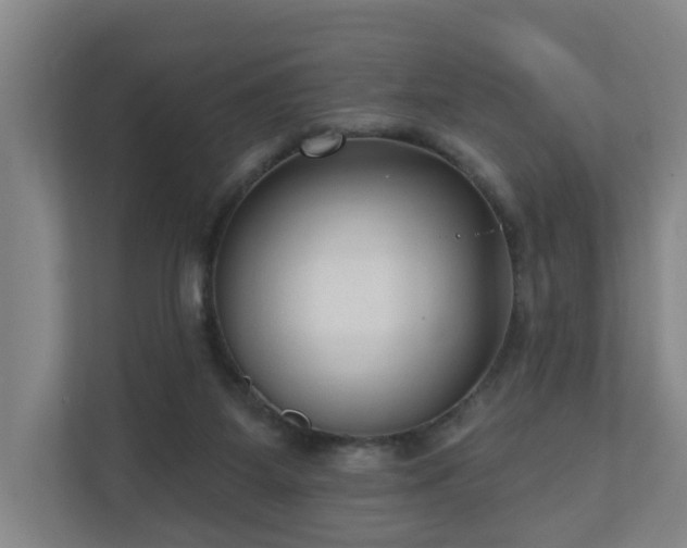 X0000110940115200906191238