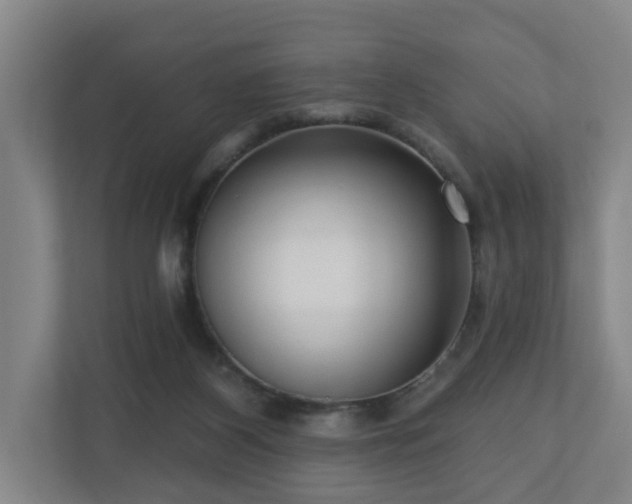 X0000110940116200906191238