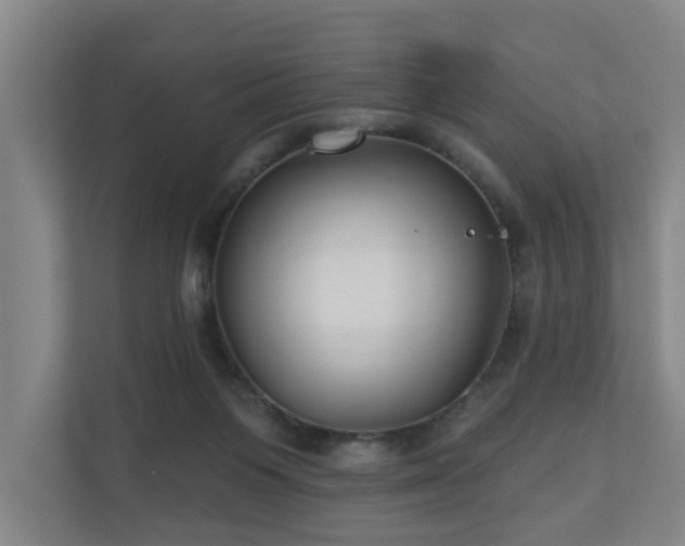 X0000110940119200906191238