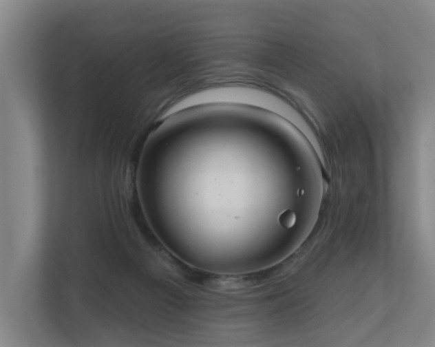 X0000110940121200906191238