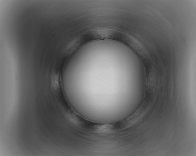 X0000110940122200906191238