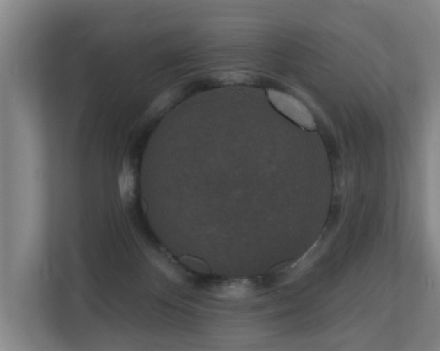 X0000110940124200906191238