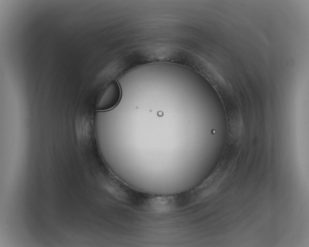 X0000110940126200906191238