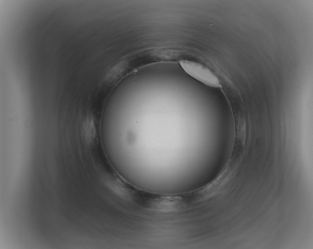 X0000110940128200906191238