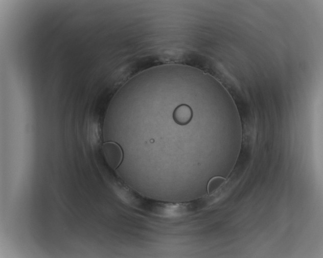 X0000110940130200906191238