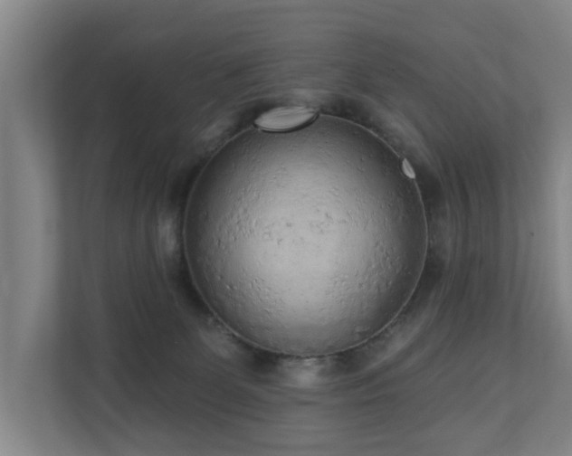 X0000110940131200906191238