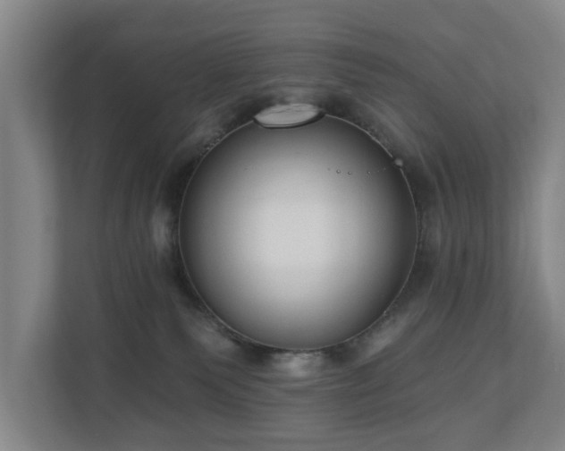 X0000110940135200906191238