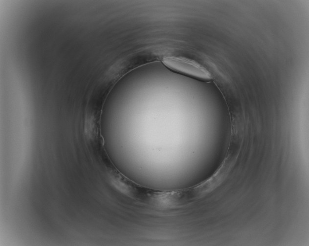 X0000110940136200906191238