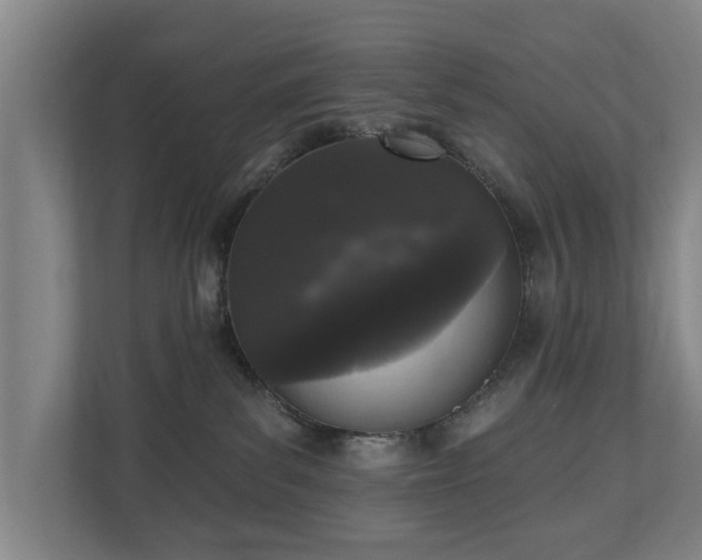 X0000110940139200906191238