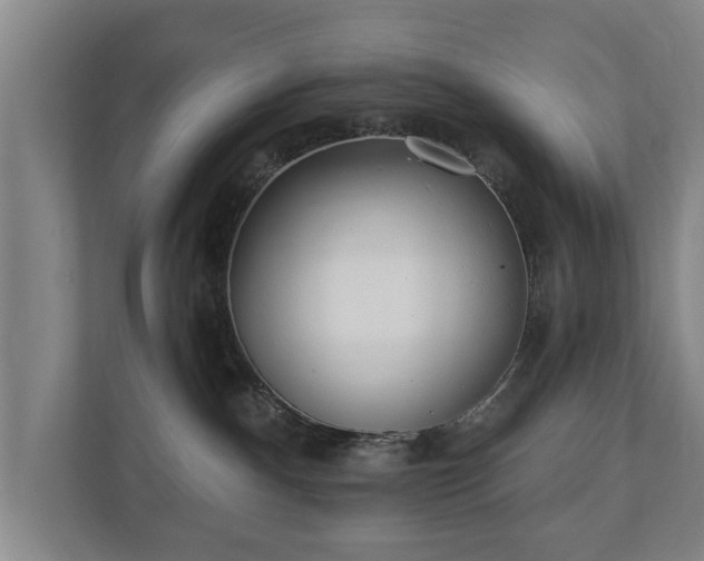 X0000110940140200906191238