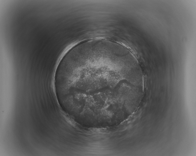 X0000110940147200906191237