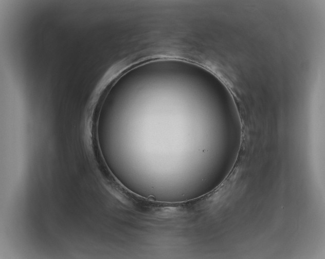 X0000110940151200906191237