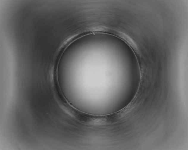 X0000110940155200906191237