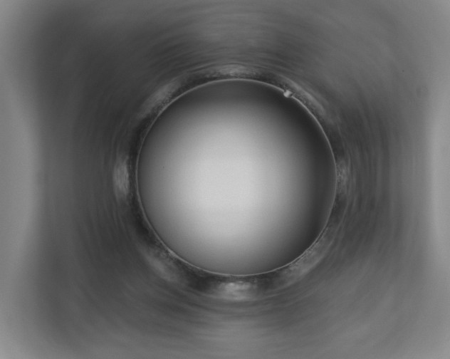 X0000110940158200906191237