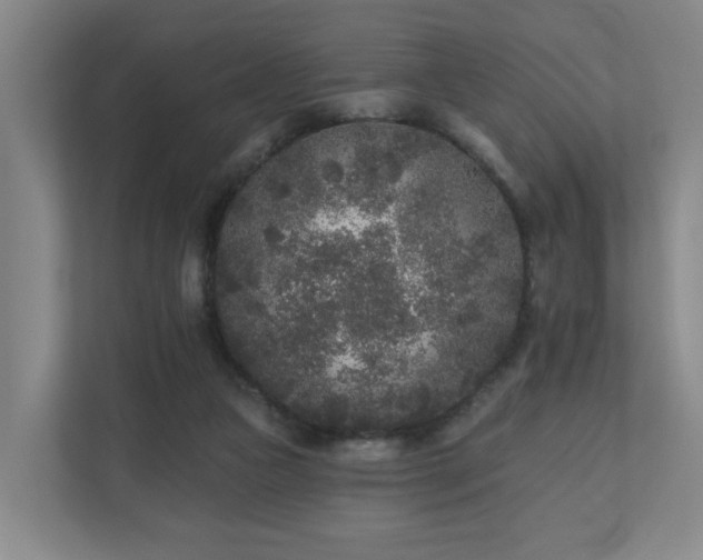 X0000110940161200906191237