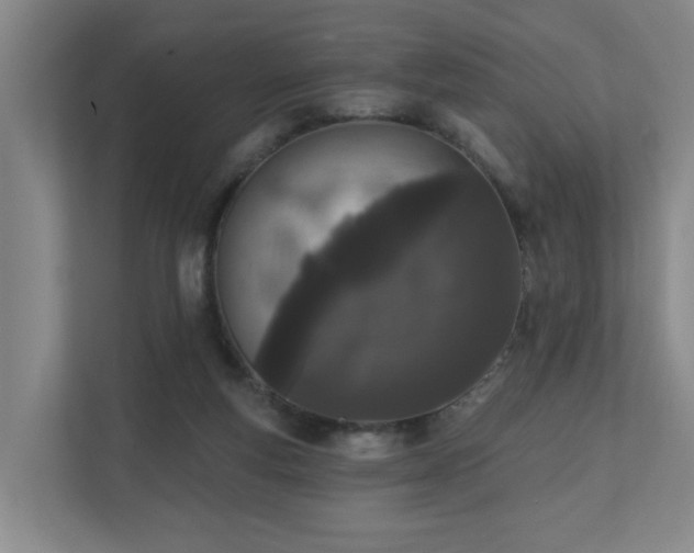 X0000110940163200906191238