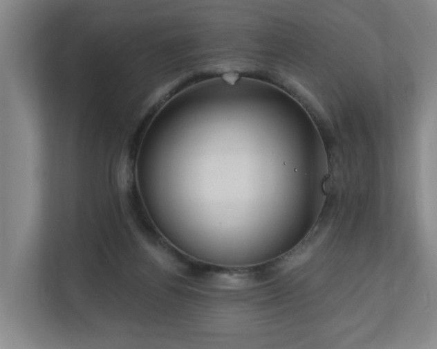 X0000110940164200906191238